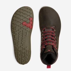 Scarpe da Trekking Vivobarefoot Tracker Ii Fg Donna Grigie | EB3410659